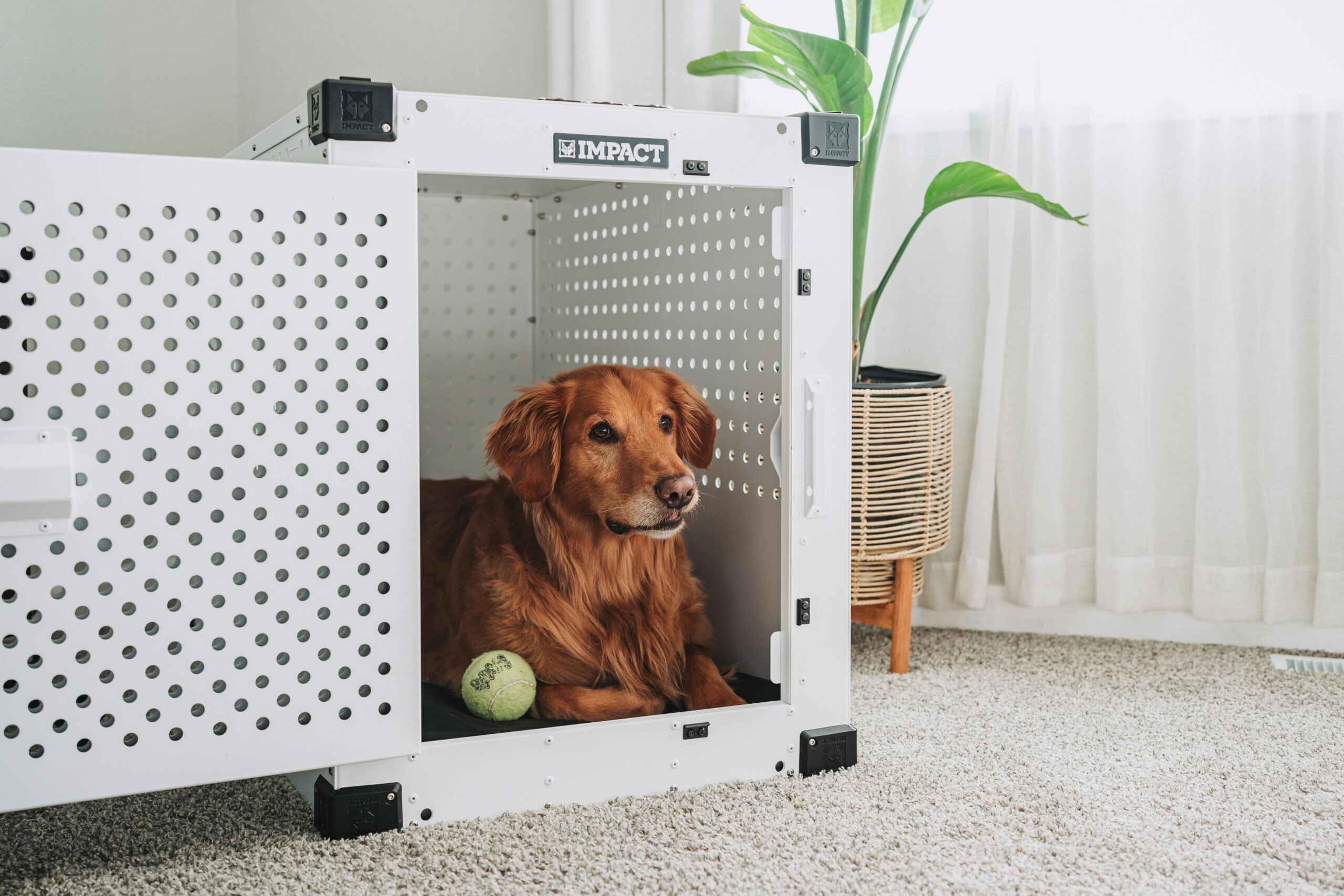 How to Soundproof a Dog Crate A Guide to Keep Your Dog Calm and Your Neighbors Happy